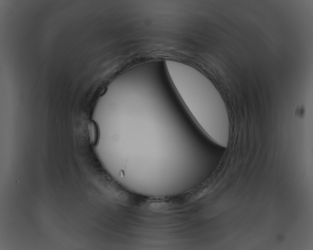 X0000094070228200710191003