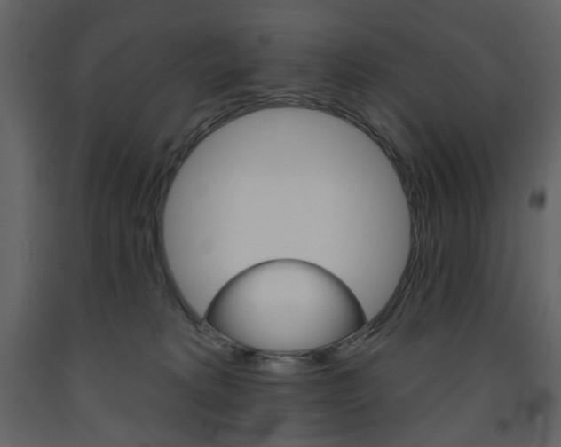 X0000094070229200710191003