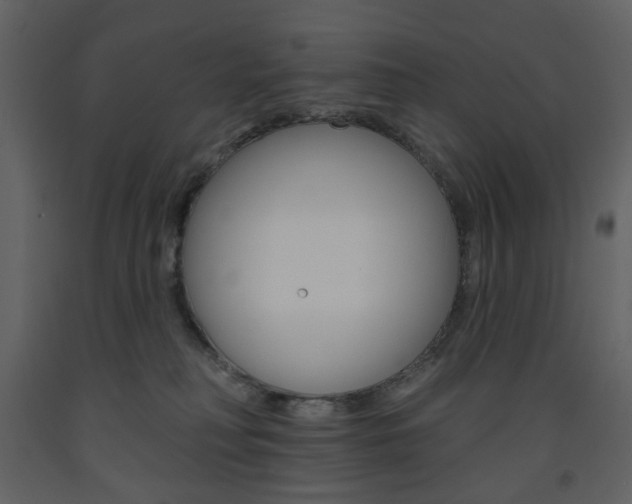 X0000094070230200710191003
