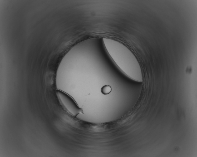 X0000094070232200710191003