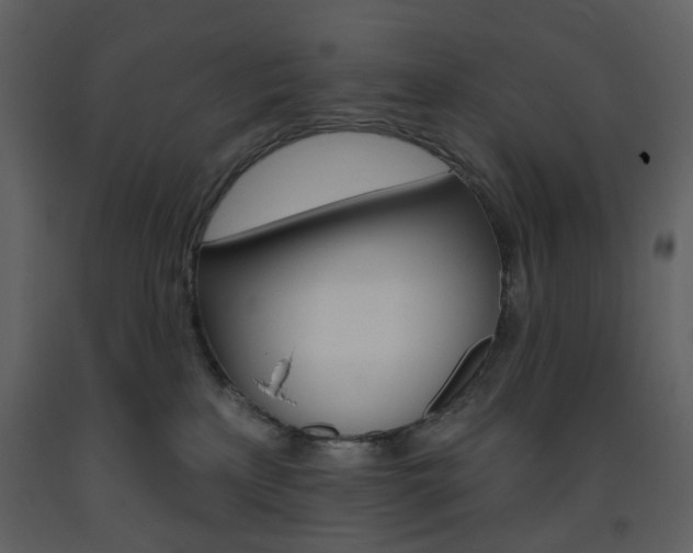 X0000094070233200710191003