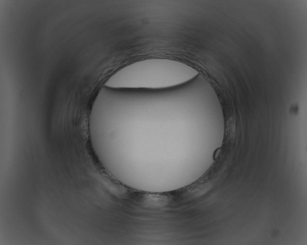 X0000094070234200710191003