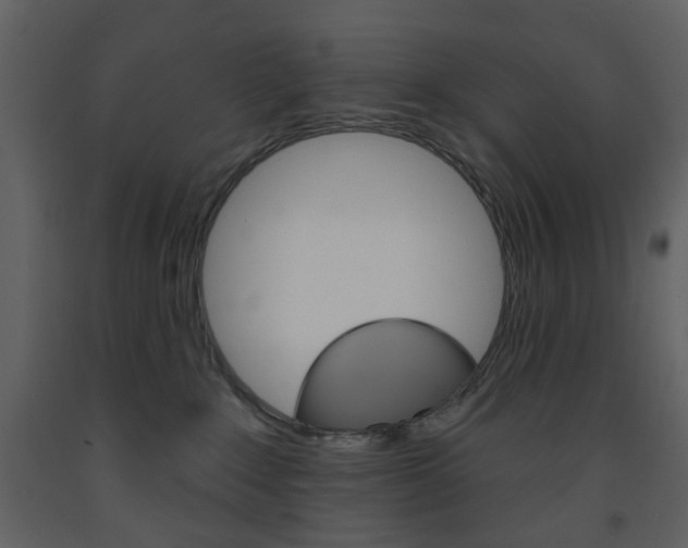 X0000094070235200710191003