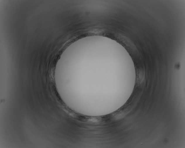 X0000094070236200710191003