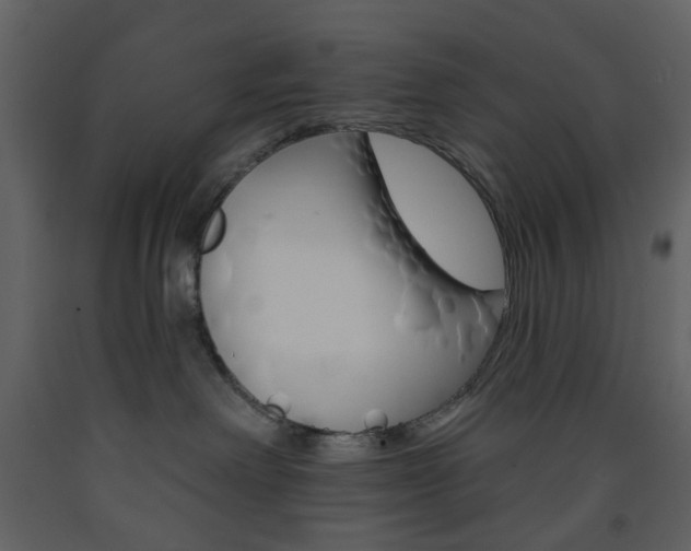 X0000094070238200710191003