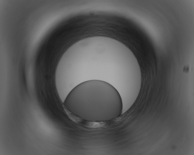 X0000094070239200710191003