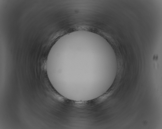 X0000094070240200710191003