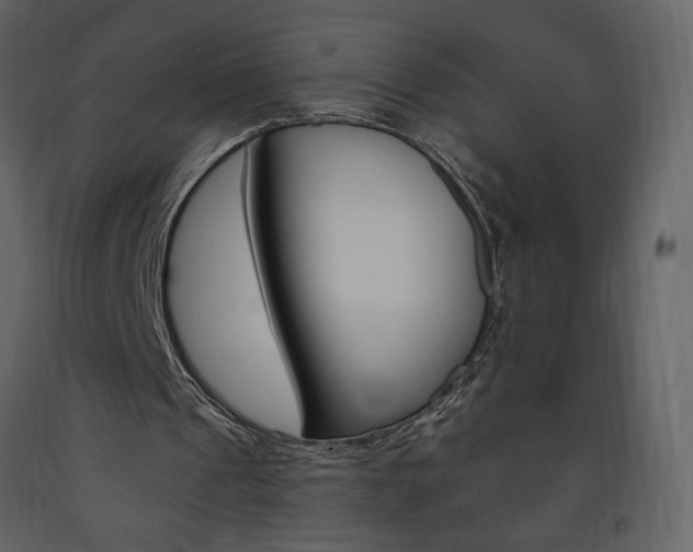 X0000094070241200710191002