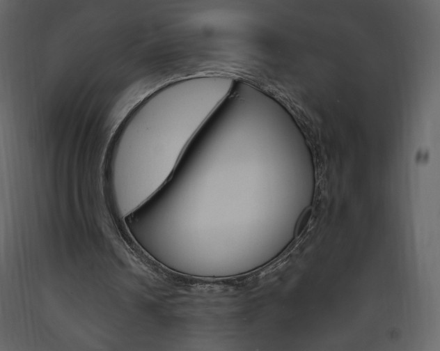X0000094070242200710191002