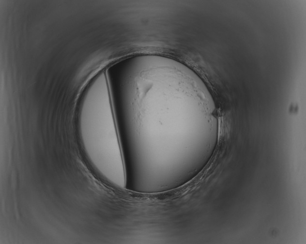 X0000094070243200710191002