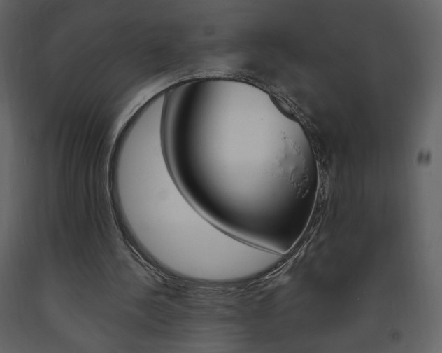 X0000094070244200710191002