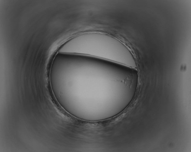 X0000094070245200710191002