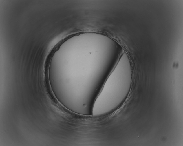 X0000094070246200710191002