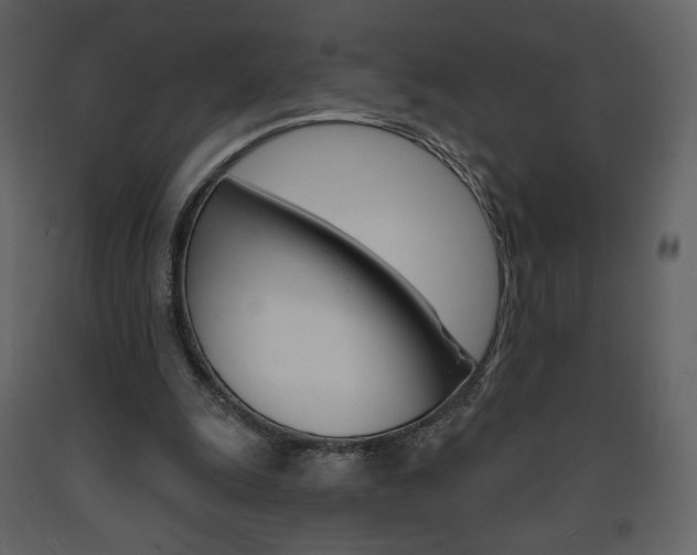 X0000094070247200710191002