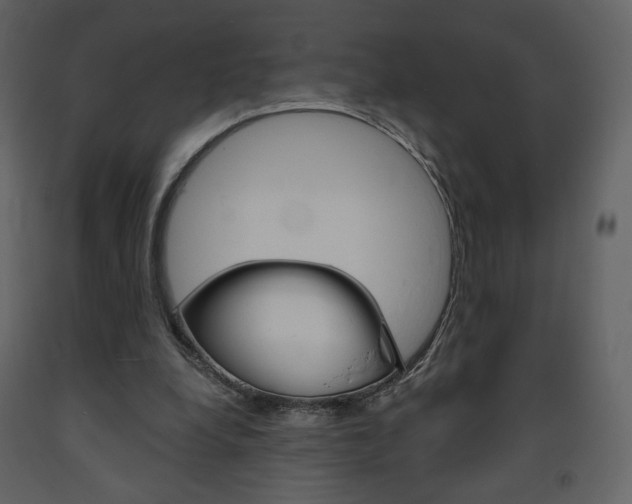 X0000094070248200710191002