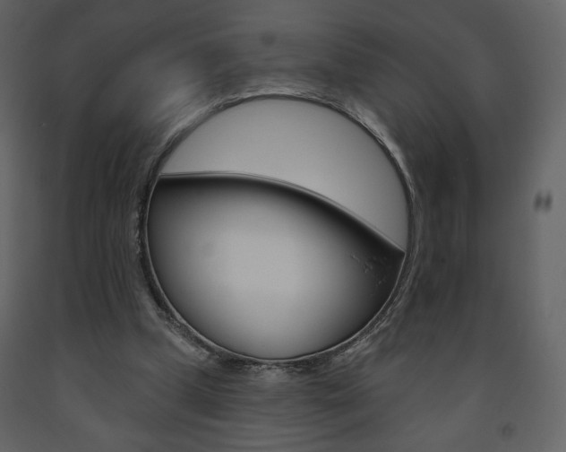 X0000094070249200710191002