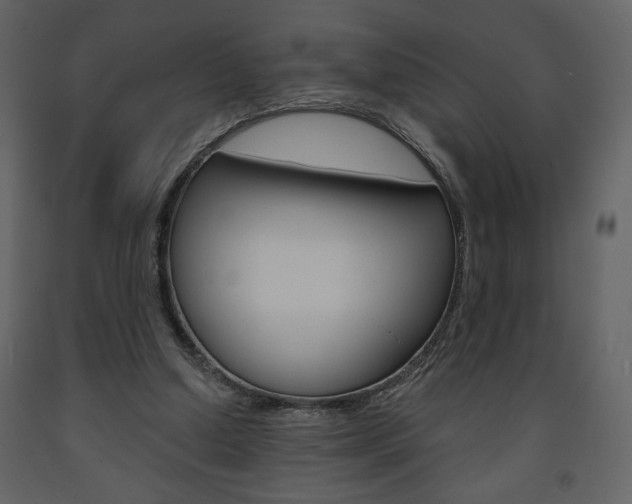X0000094070250200710191002