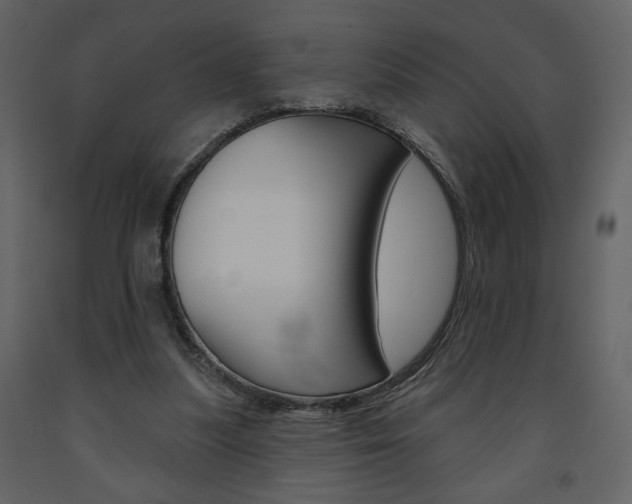 X0000094070251200710191002