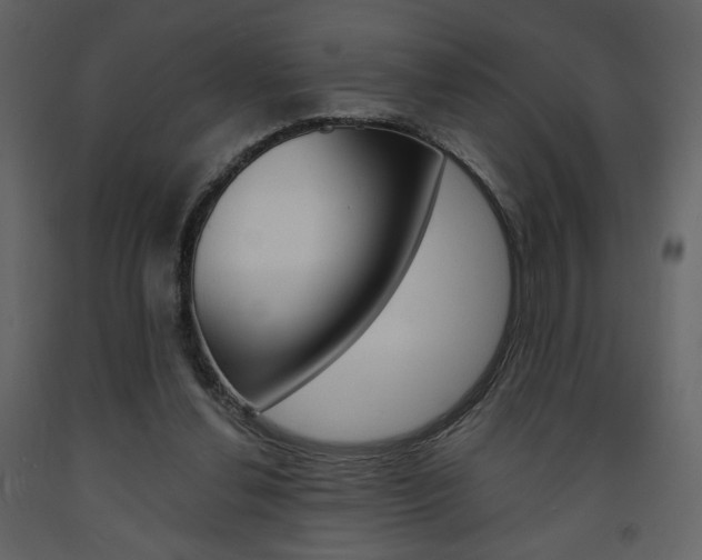 X0000094070252200710191002