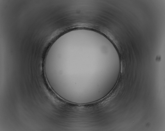 X0000094070253200710191002