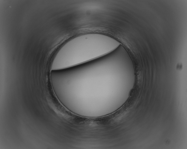 X0000094070254200710191002