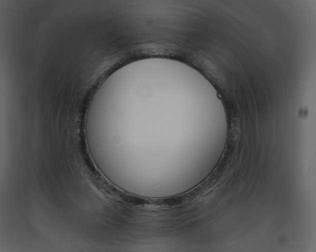 X0000094070255200710191002
