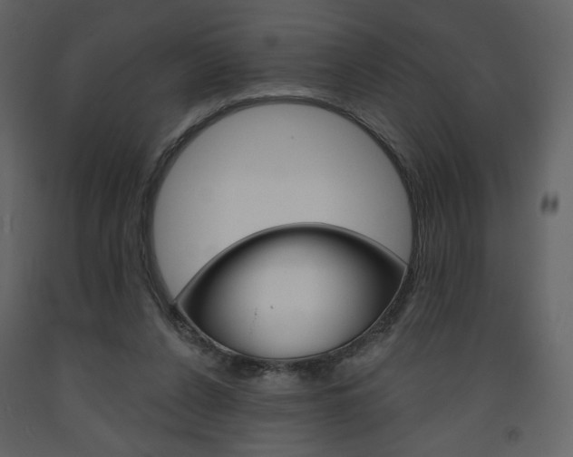 X0000094070256200710191002