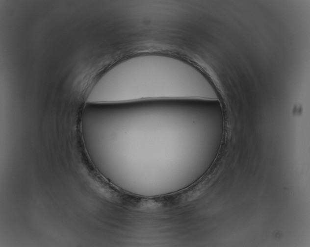 X0000094070257200710191002