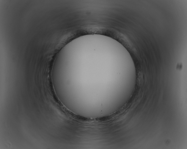 X0000094070259200710191002