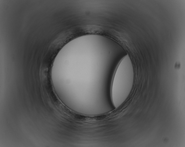 X0000094070263200710191002