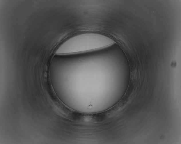 X0000094070264200710191002
