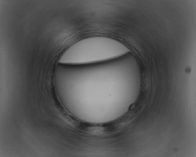 X0000094070266200710191002