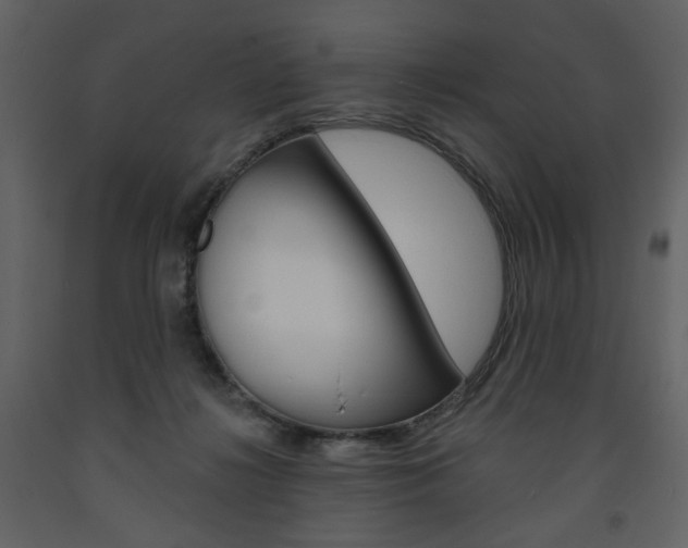 X0000094070268200710191002