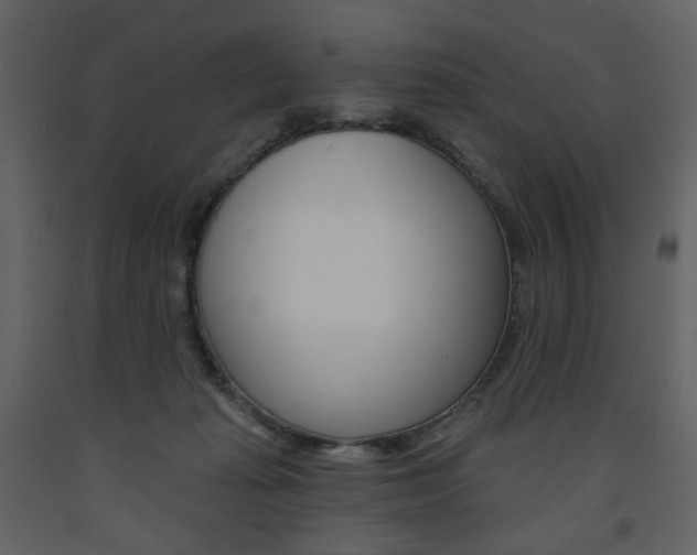 X0000094070269200710191002