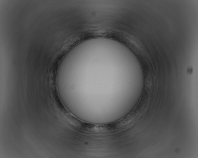 X0000094070270200710191002
