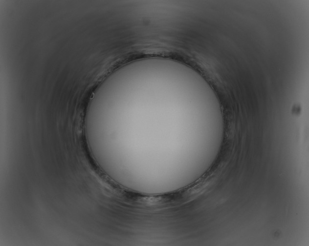 X0000094070273200710191003