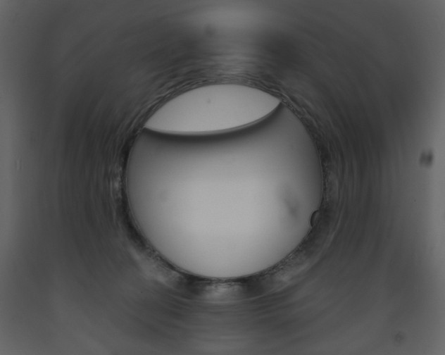 X0000094070274200710191003