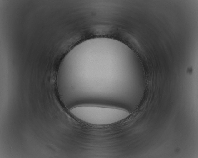 X0000094070277200710191003