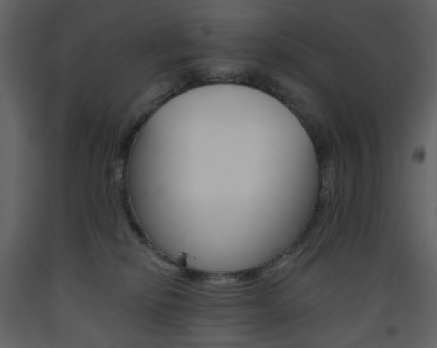 X0000094070278200710191003