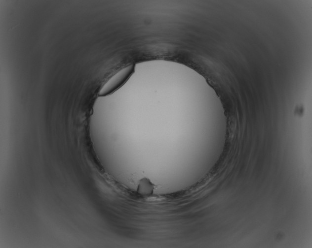 X0000094070279200710191003
