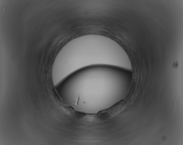 X0000094070280200710191003