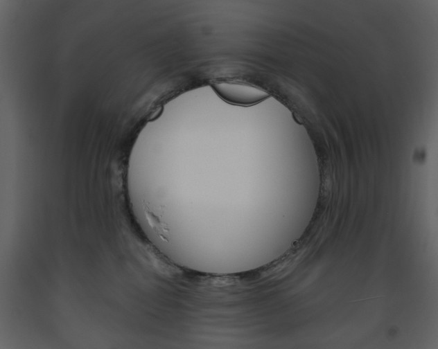 X0000094070282200710191003