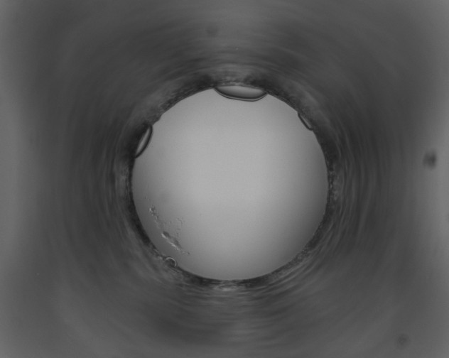 X0000094070283200710191003