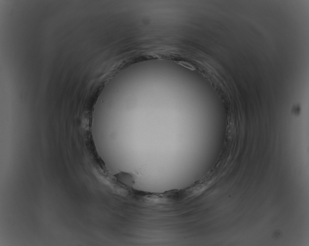 X0000094070284200710191003