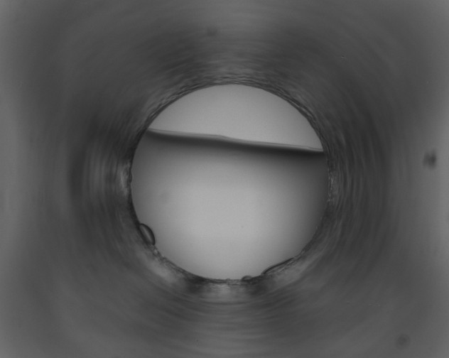 X0000094070286200710191003