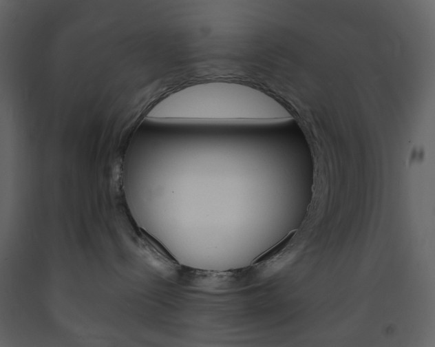 X0000094070288200710191003