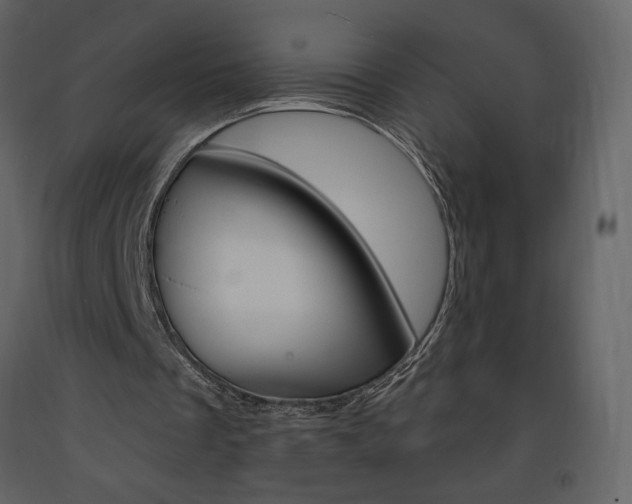 X0000094070289200710191002