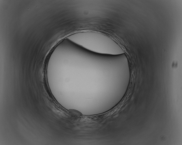 X0000094070290200710191002