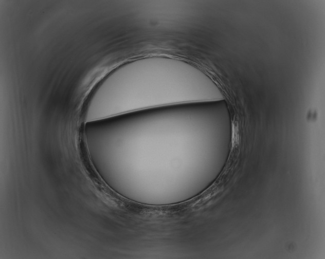 X0000094070291200710191002