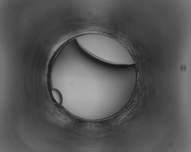 X0000094070292200710191002